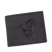 GIULIO lovas pénztárca és öv ajándékcsomag