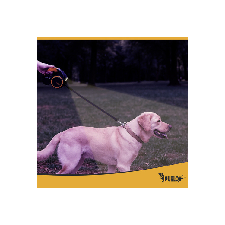 Automata kutyapóráz 10–25 kg-ig, LED-es zseblámpával, zacskó adagolóval, 5 m 