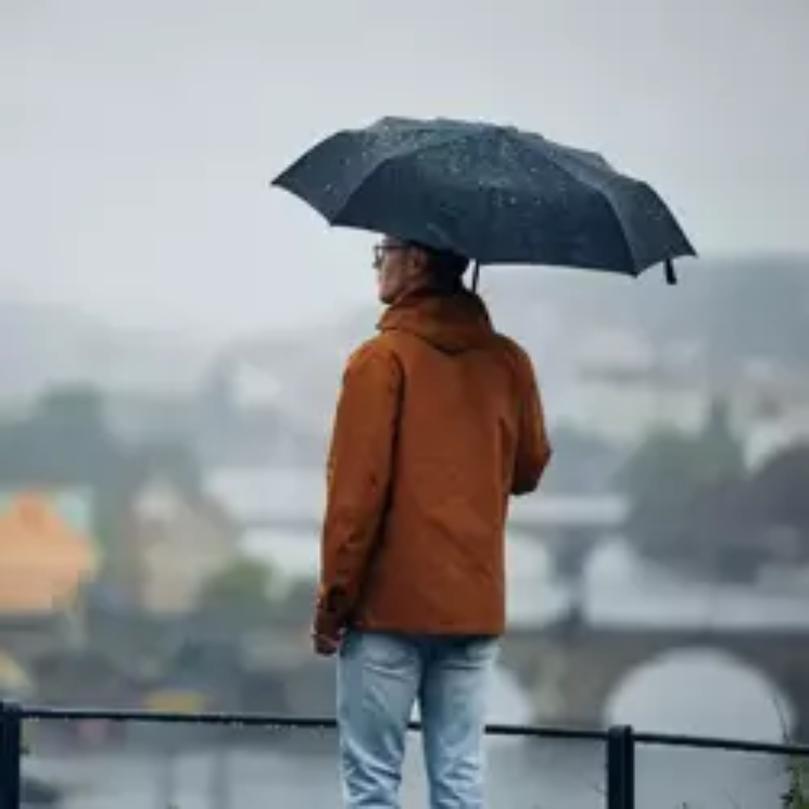 Fekete automata esernyő