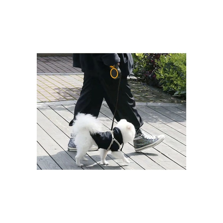 Automata kutyapóráz 