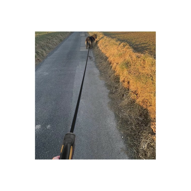 Automata kutyapóráz 