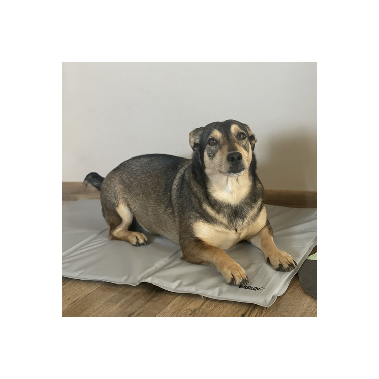 Hűsítő fekvőhely kutyák számára 90x50cm