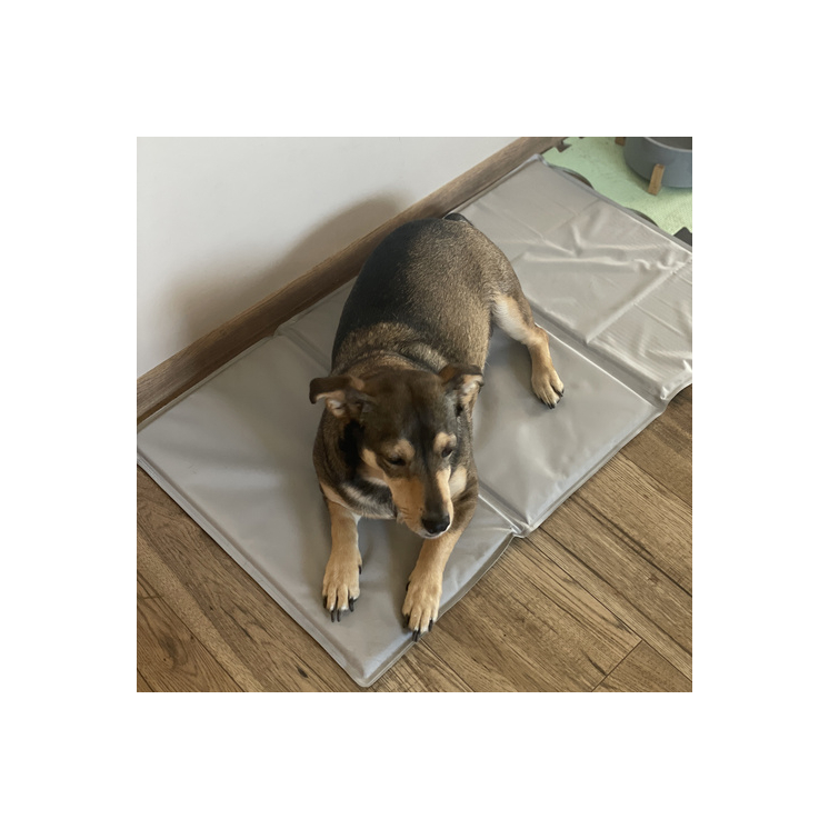 Hűsítő fekvőhely kutyák számára 90x50cm