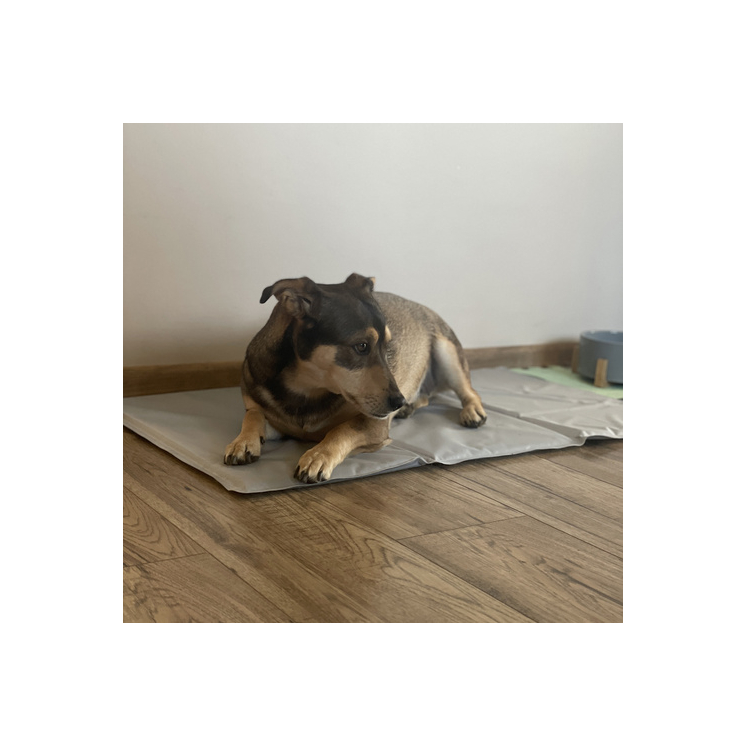 Hűsítő fekvőhely kutyák számára 90x50cm