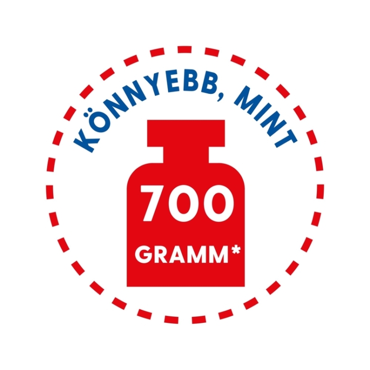 Herlitz iskolatáska UltraLight Plus Butterfly 50026791